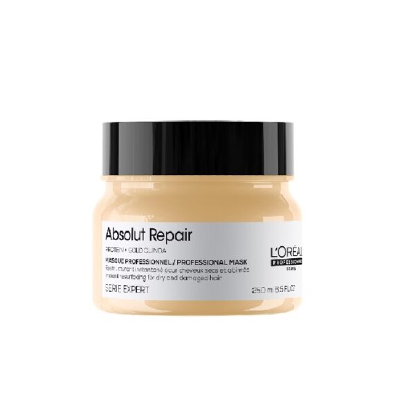 LOREAL SE ABSOLUT REPAIR MASK 250ML